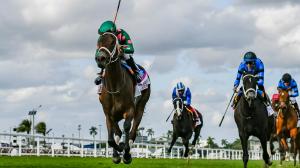Gulfstream Park Championship Meet, America's Best Racing, horse racing, ABR